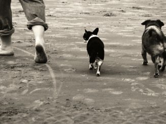 Spaziergang am Strand